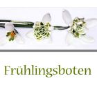 Frühlingsboten...