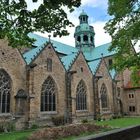 Frühlingsboten am Dom zu Hildesheim