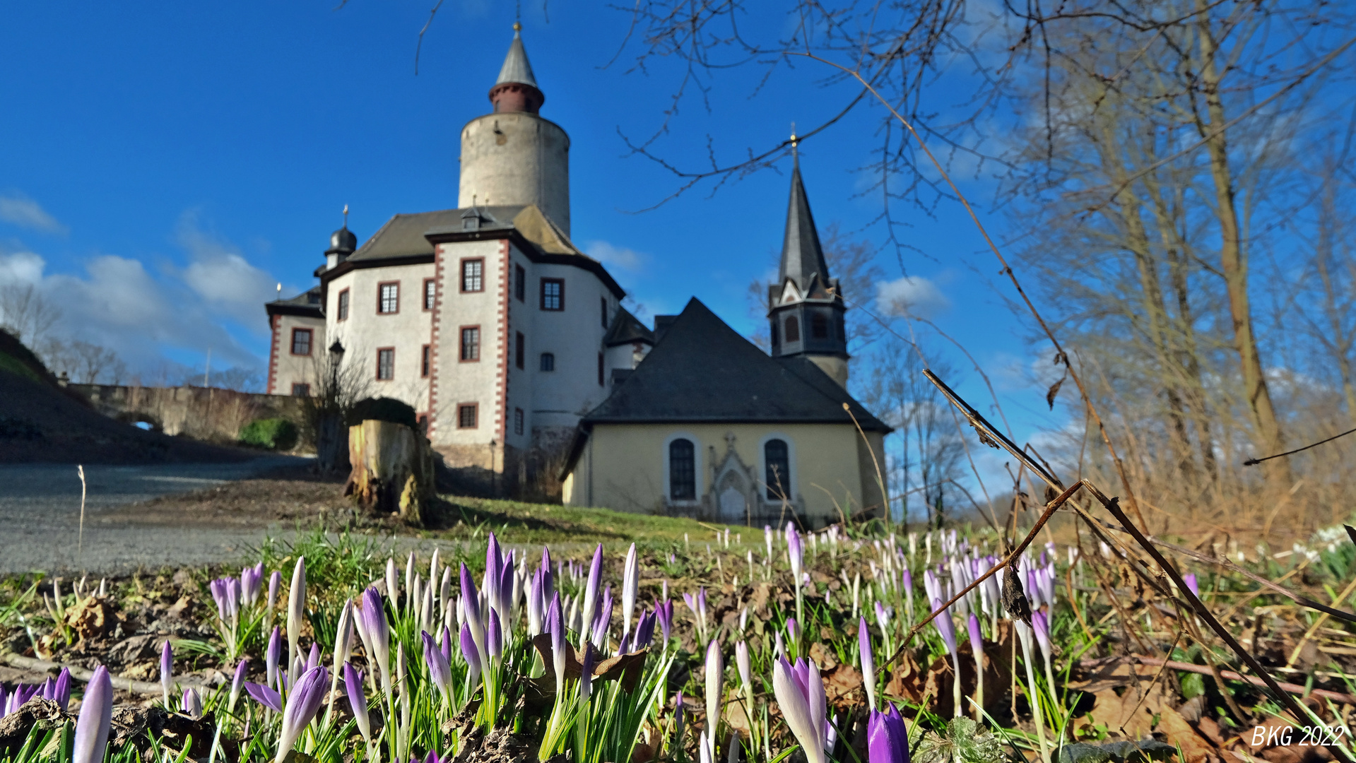 Frühlingsboten an Burg Posterstein 