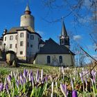 Frühlingsboten an Burg Posterstein 