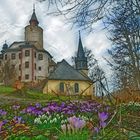 Frühlingsboten an der Burg Posterstein 