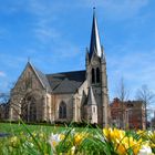 Frühlingsboten an der Christuskirche