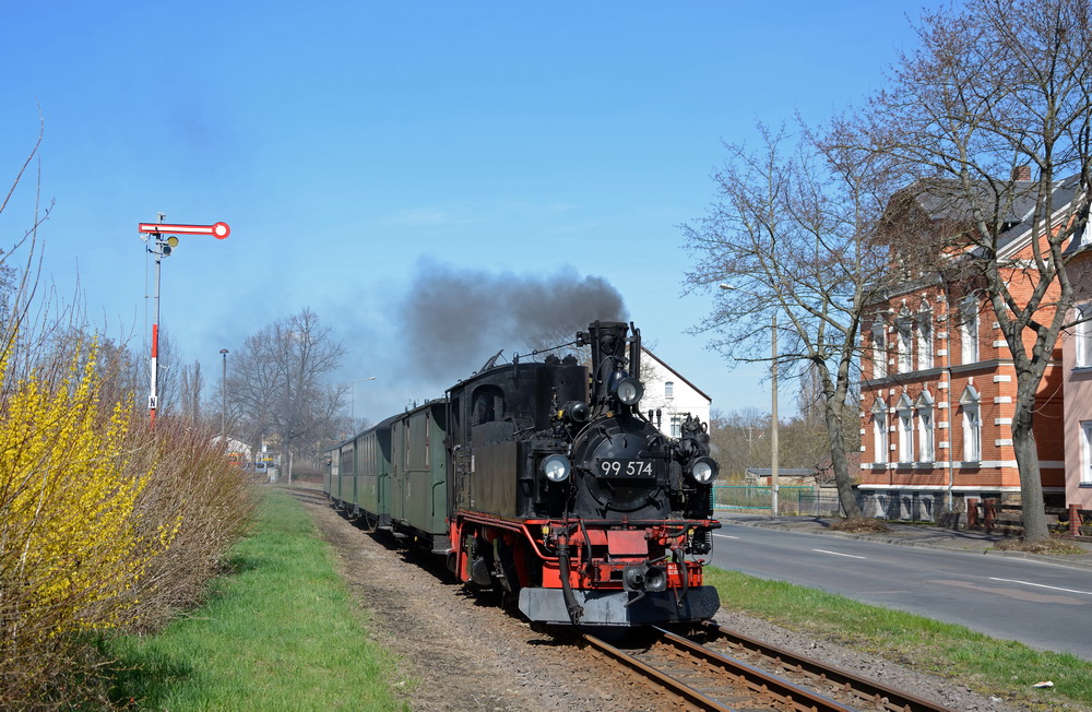 Frühlingsboten beim wilden Robert