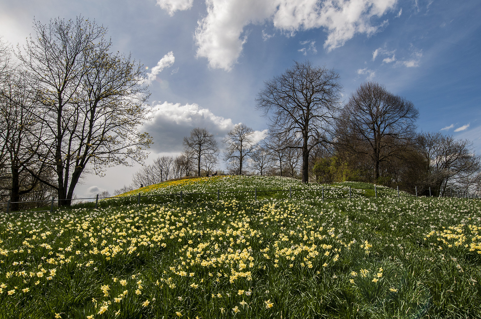 Frühlingsboten