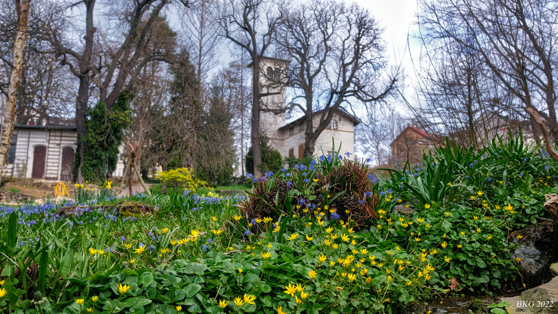 Frühlingsboten 