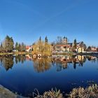 Frühlingsboten in Bad Klosterlausnitz