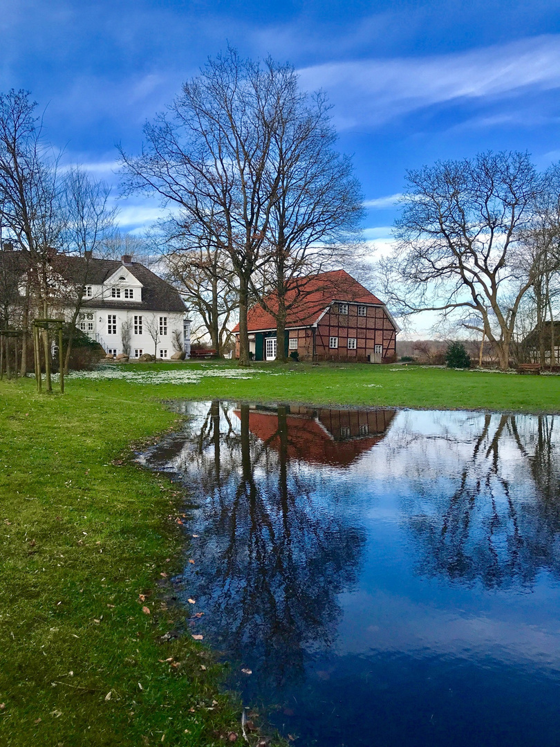 Frühlingsboten nach dem Sturm