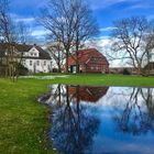 Frühlingsboten nach dem Sturm