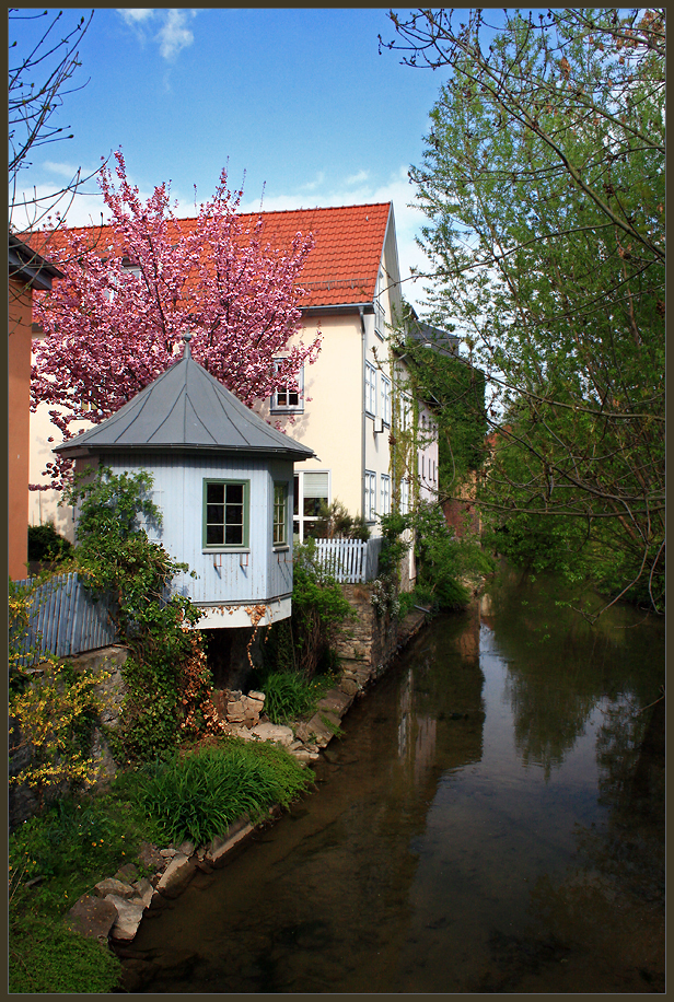 Frühlingsboten/2