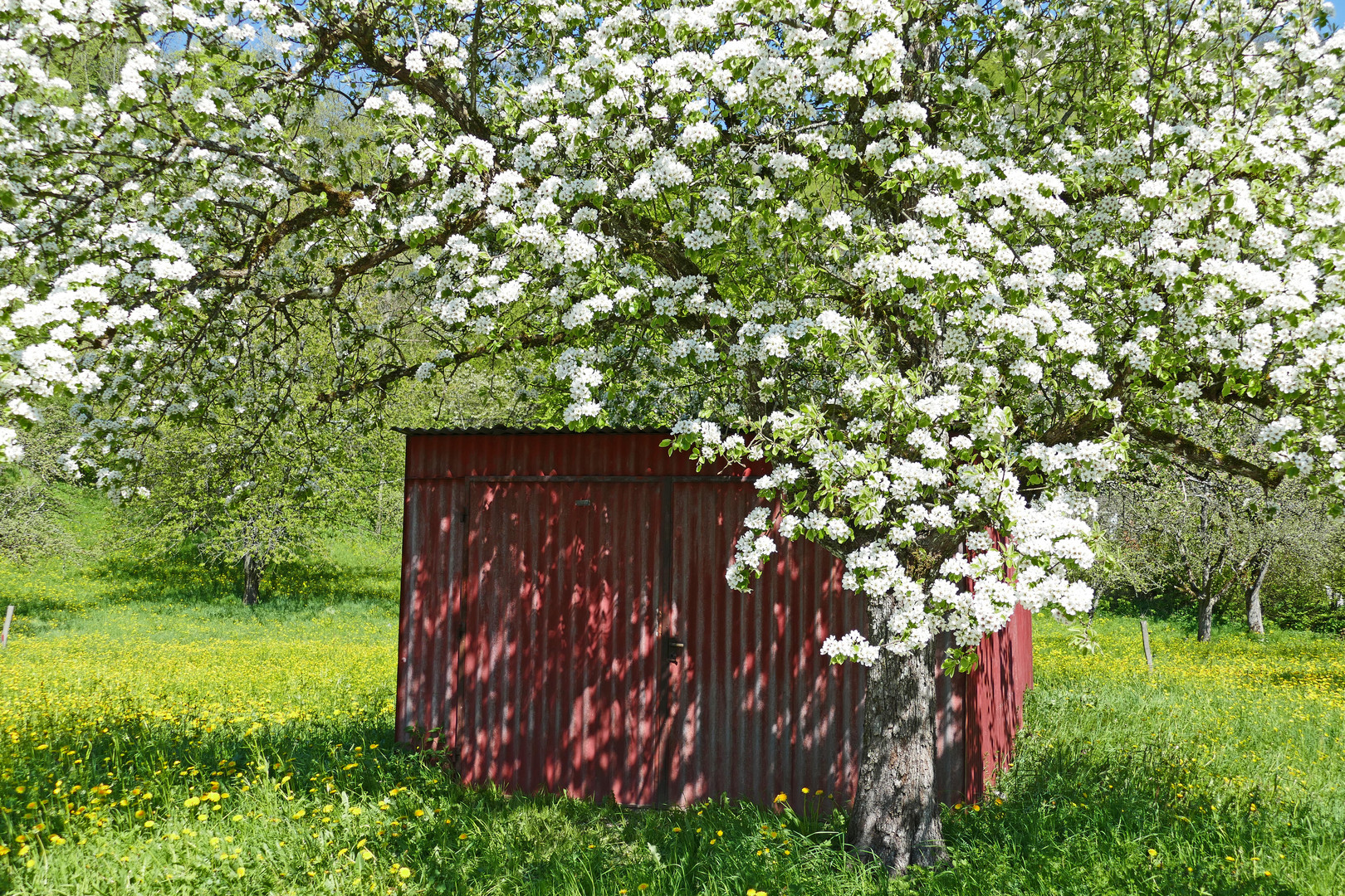 Frühlingsbox