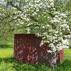 Frühlingsbox