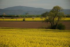 Frühlingsbrockenblick