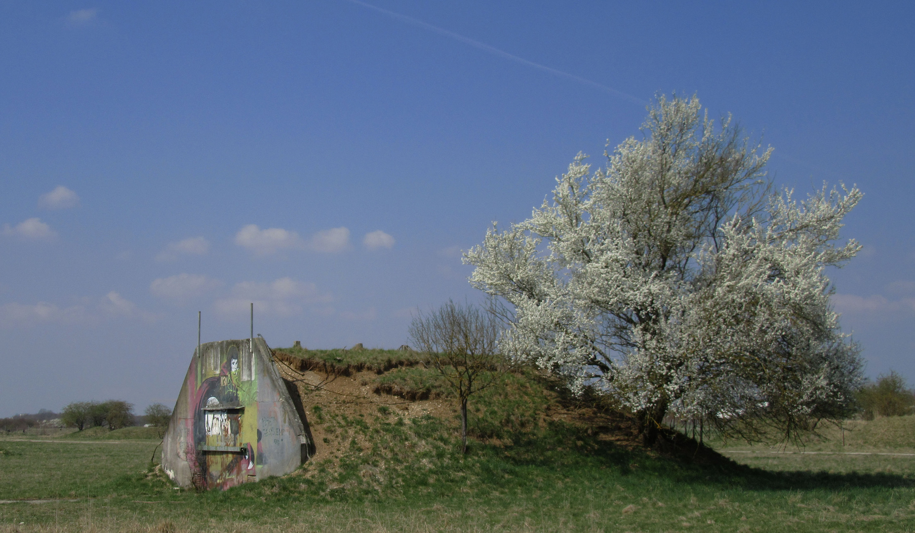 Frühlingsbunker