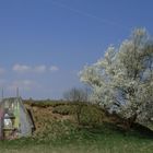 Frühlingsbunker