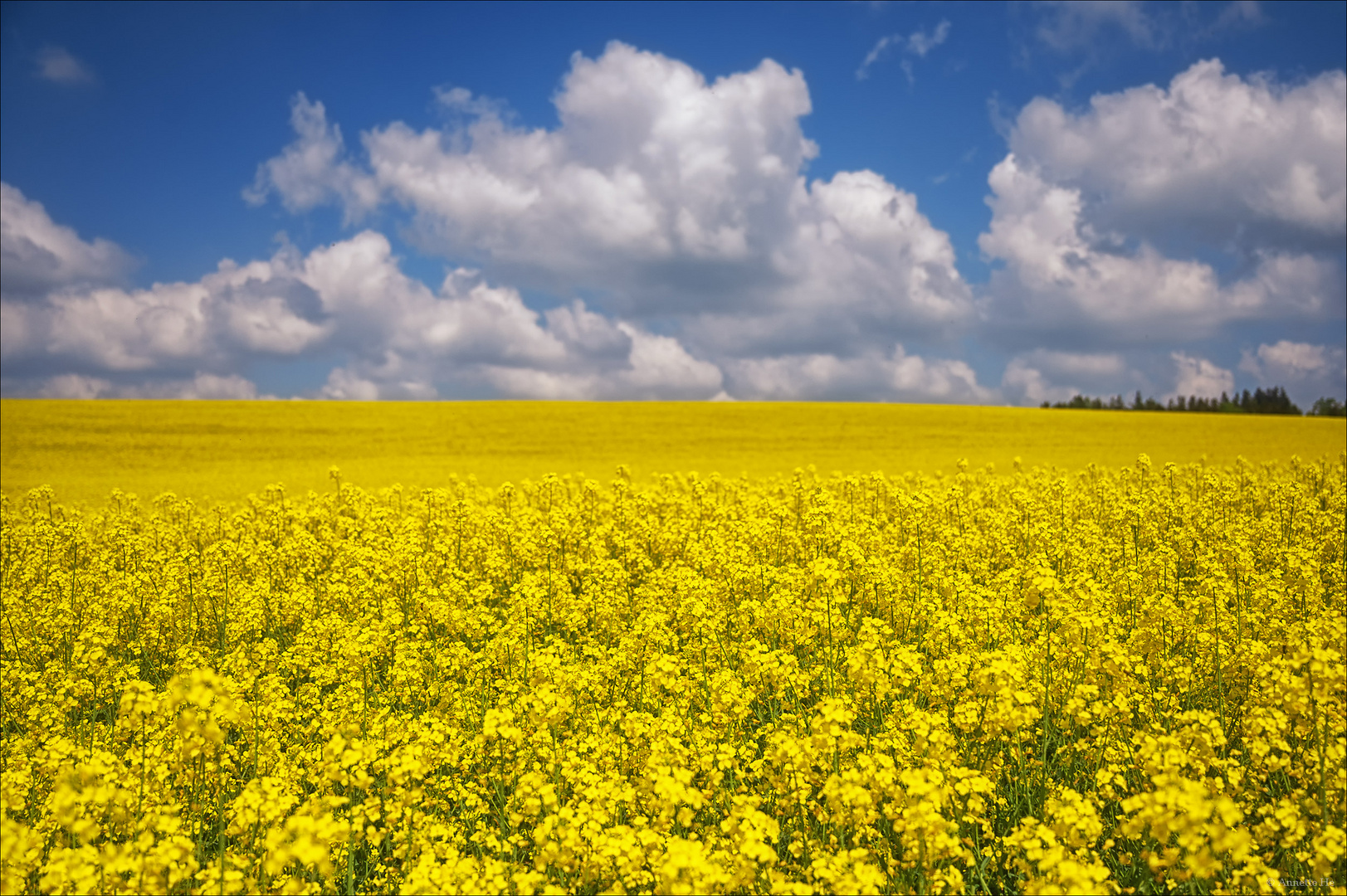 Frühlingsbunt