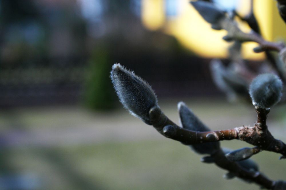 frühlingsbunt