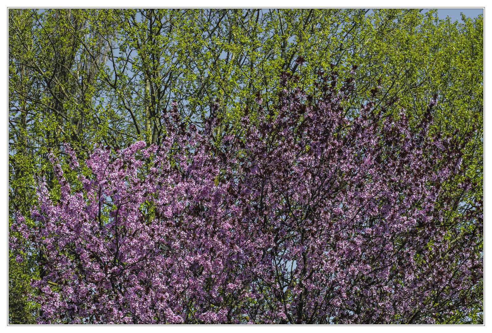 Frühlingsbunt