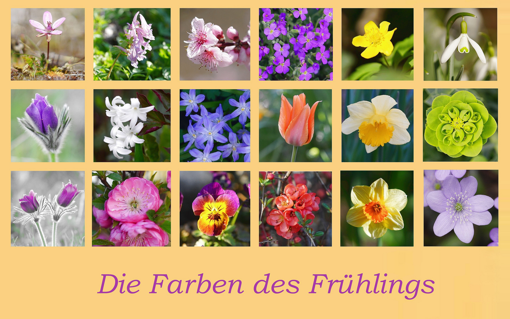 Frühlingscollage 2021