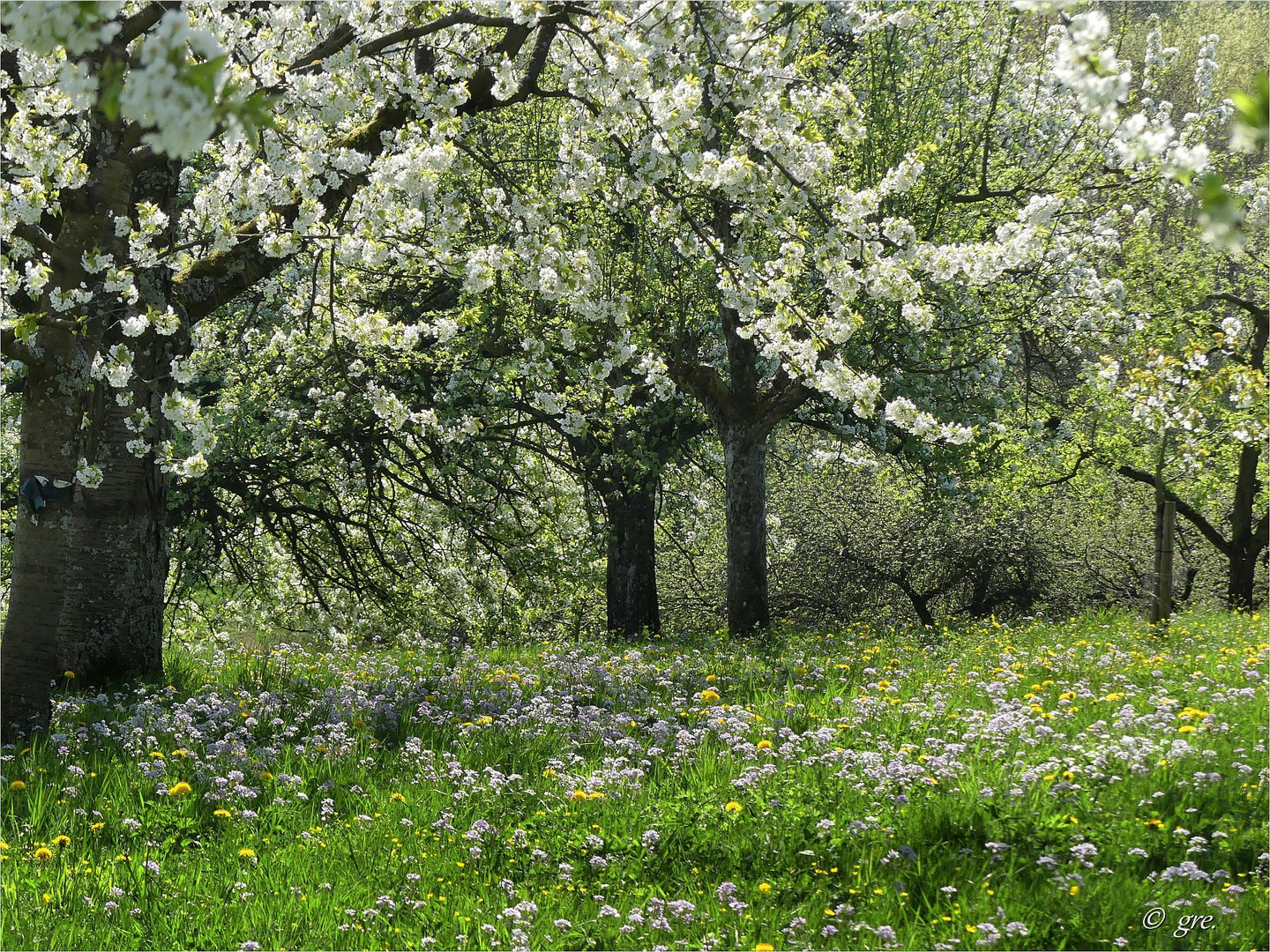 Frühlingsduft