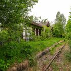 Frühlingsduft und Lochblechfenster