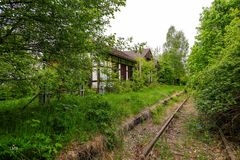 Frühlingsduft und Lochblechfenster