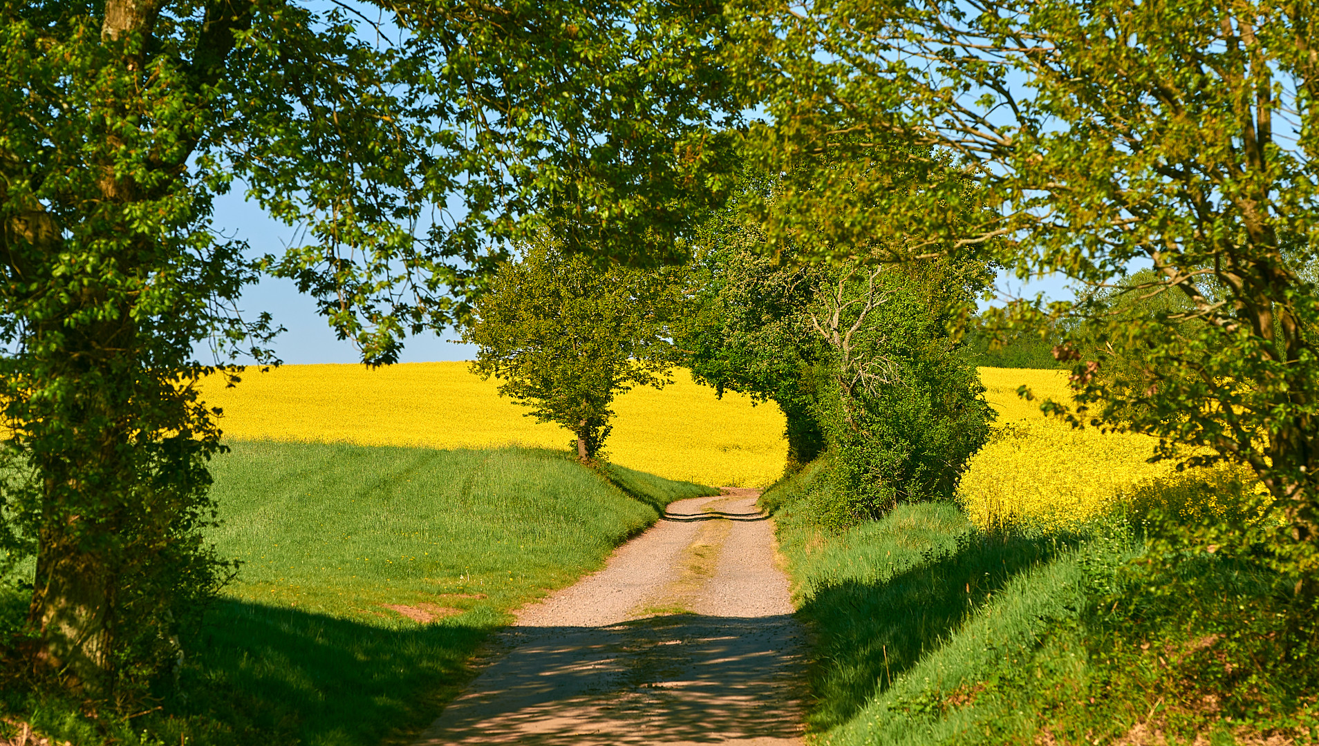 Frühlingsdurchblick von seiner schönsten Seite.