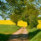 Frühlingsdurchblick von seiner schönsten Seite.