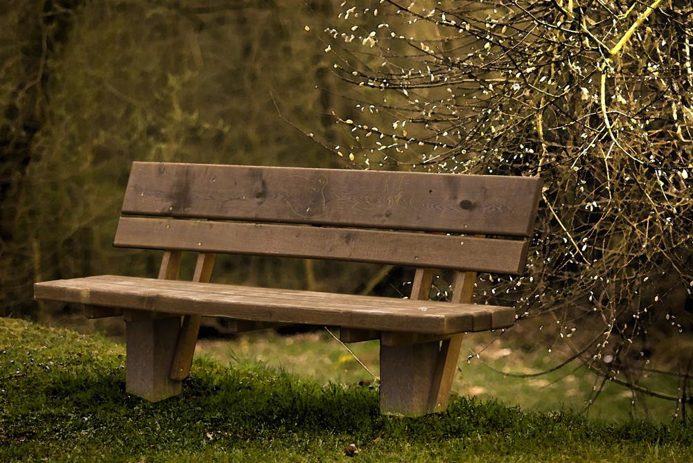 Frühlingserwachen