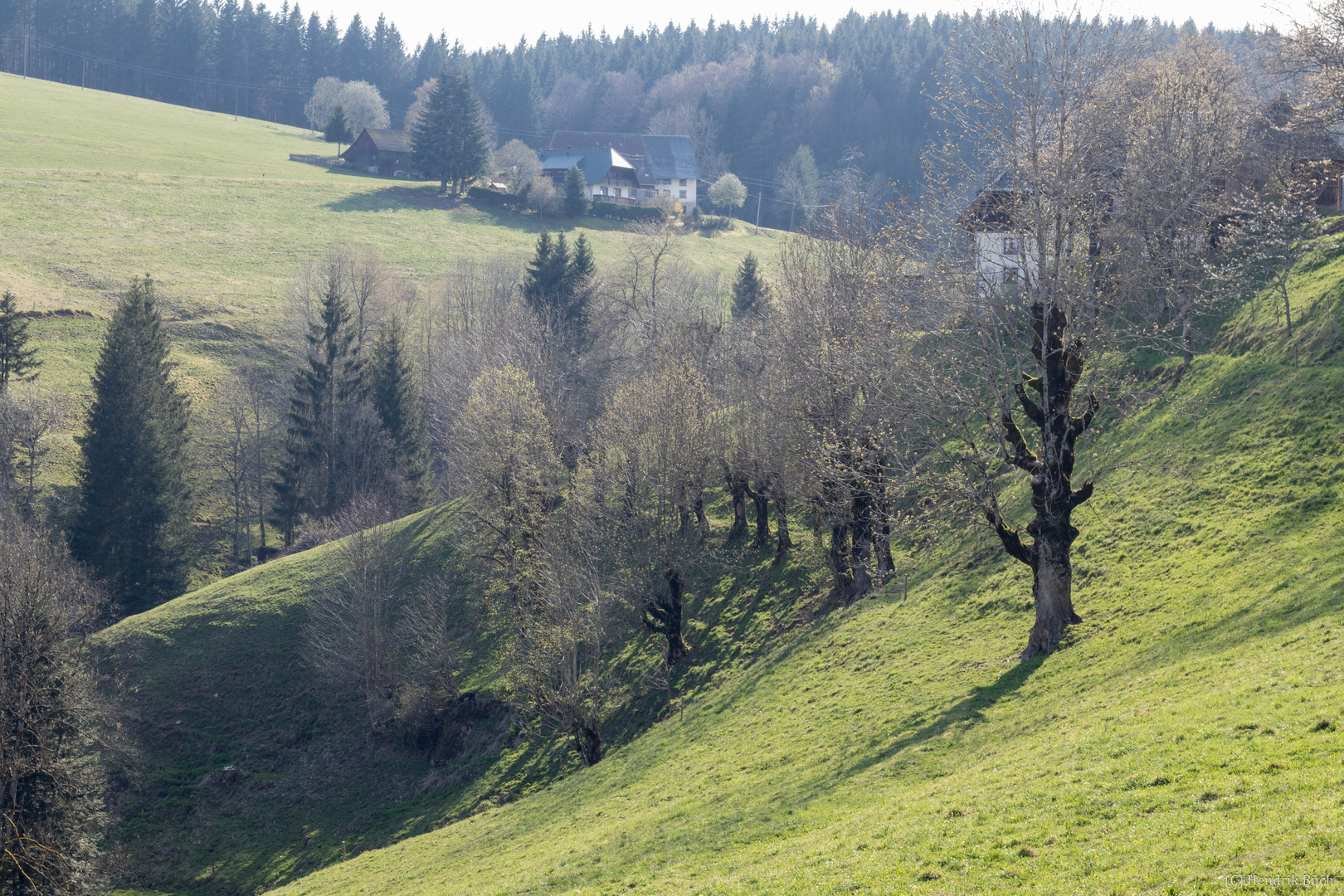 Frühlingserwachen