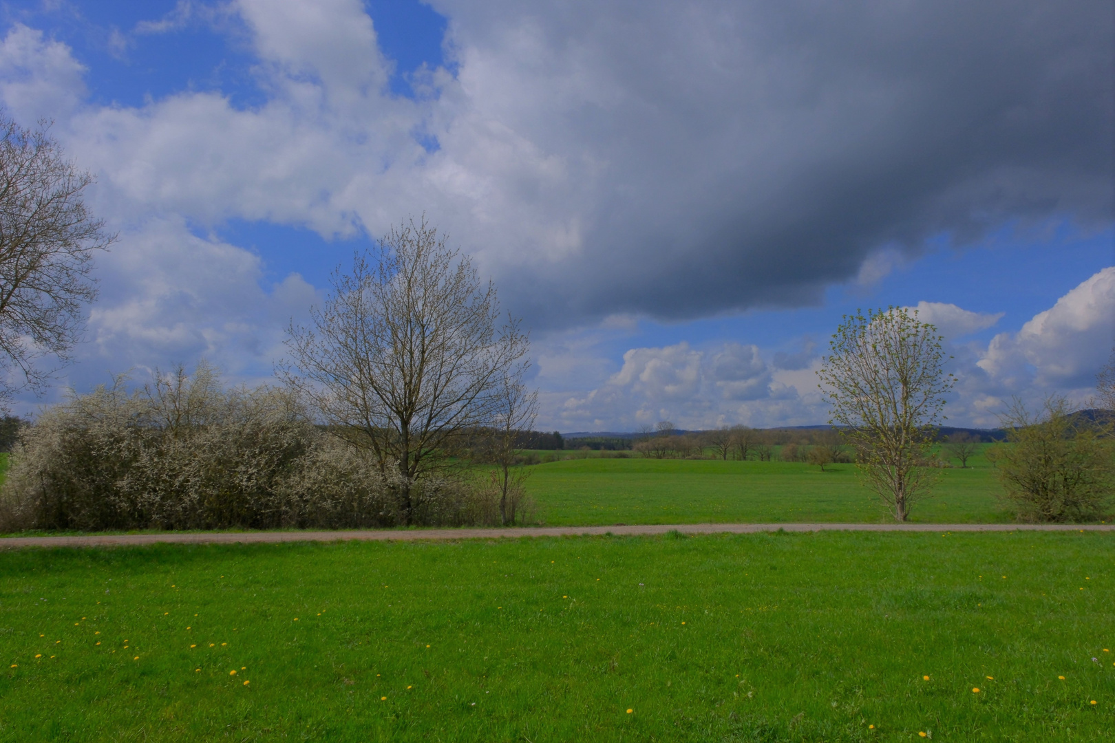 Frühlingserwachen