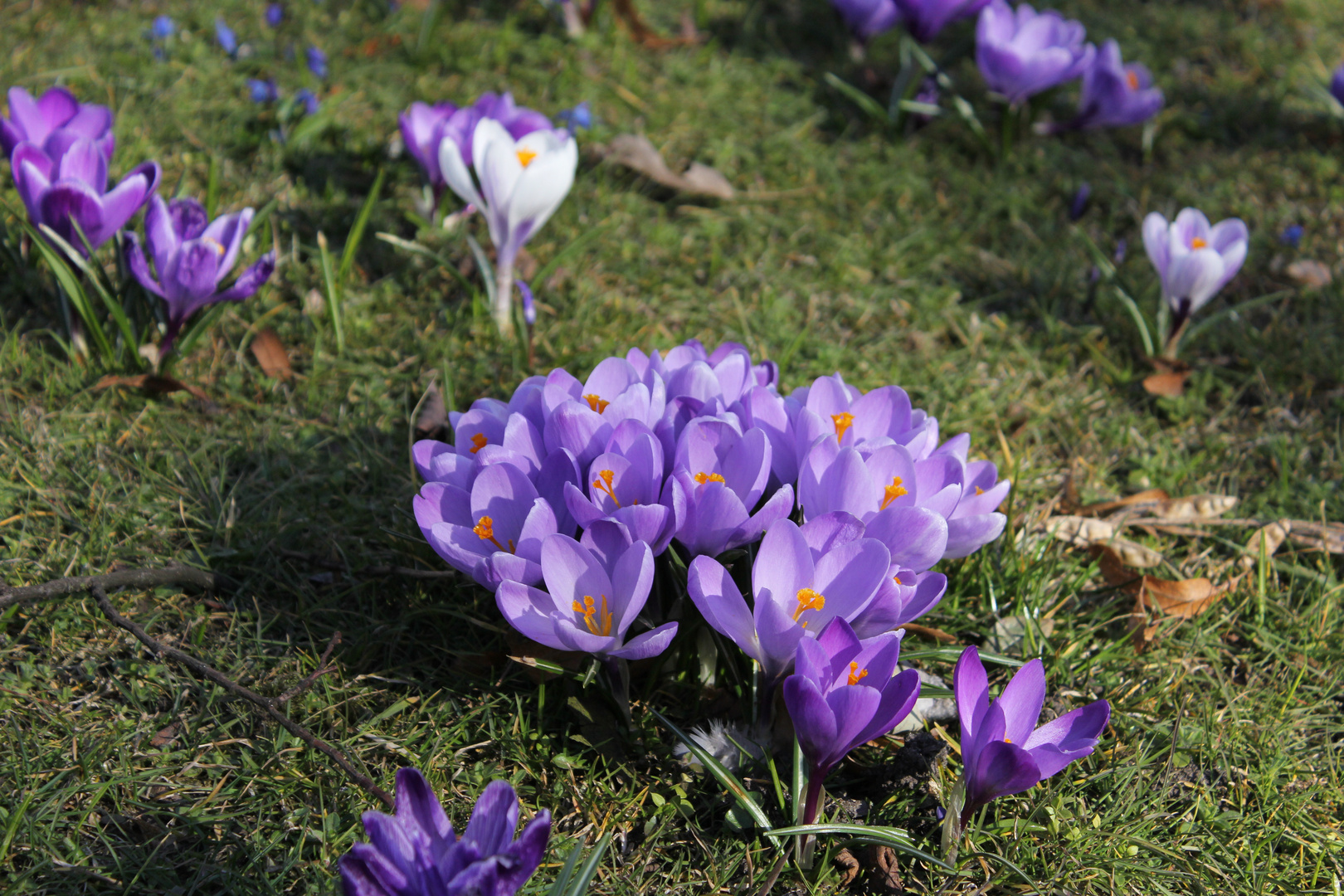 Frühlingserwachen