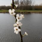 Frühlingserwachen