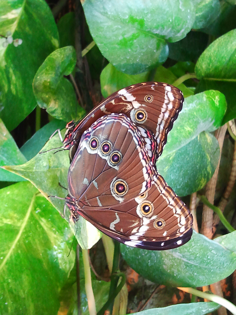 Frühlingserwachen