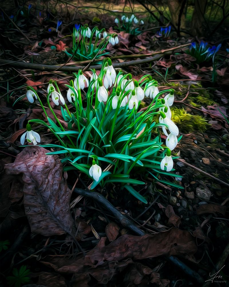 Frühlingserwachen