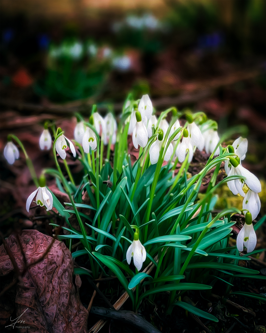 Frühlingserwachen