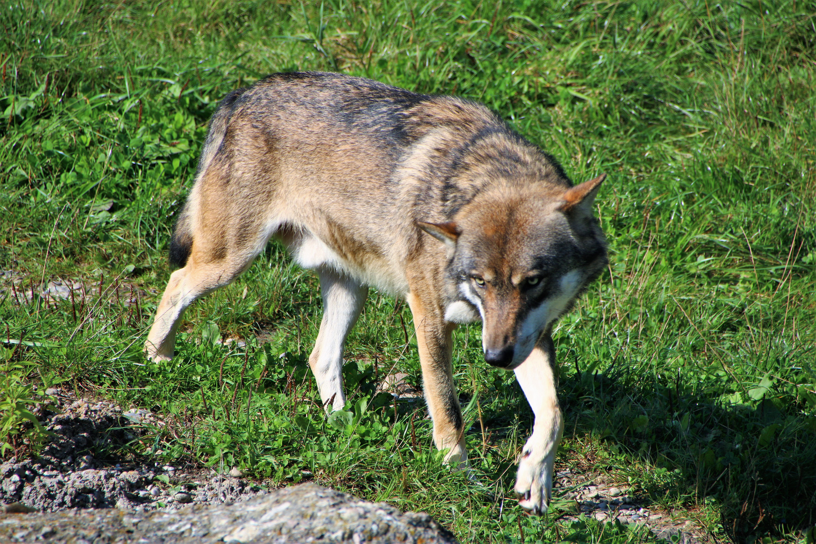 Frühlingserwachen 2