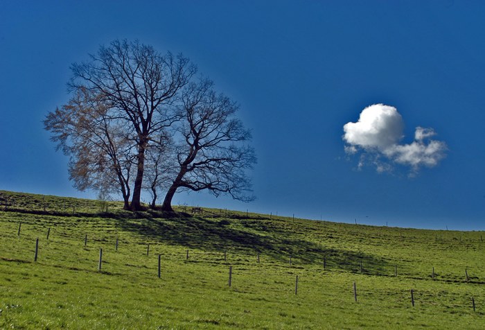 Frühlingserwachen 2