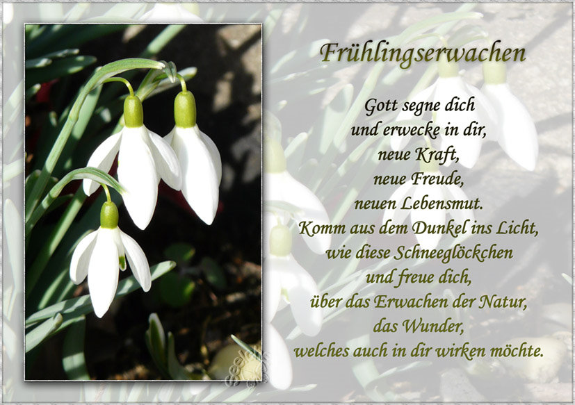 Frühlingserwachen 2