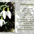 Frühlingserwachen 2