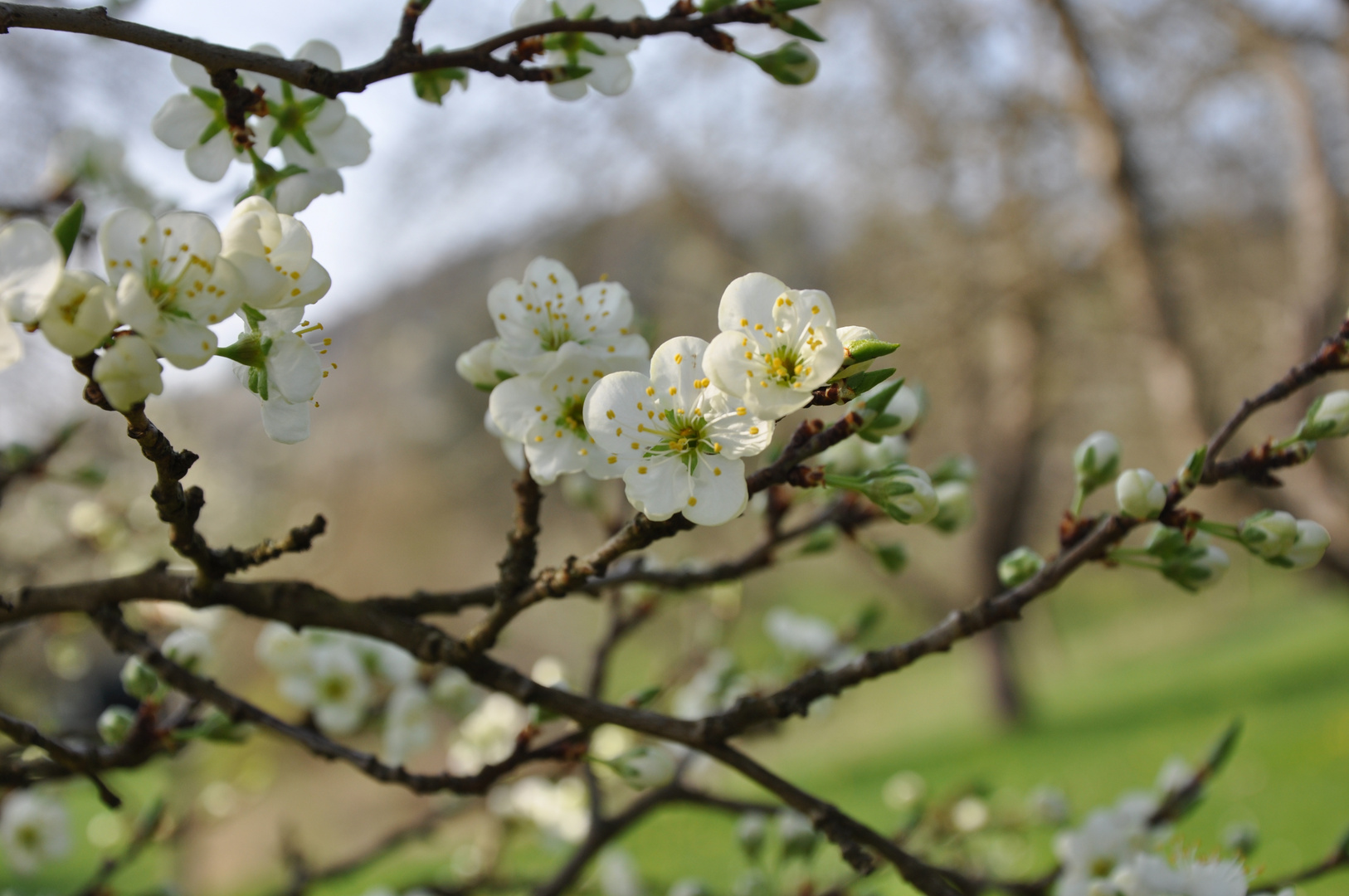 Frühlingserwachen 2014