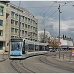 Frühlingserwachen 2025 I