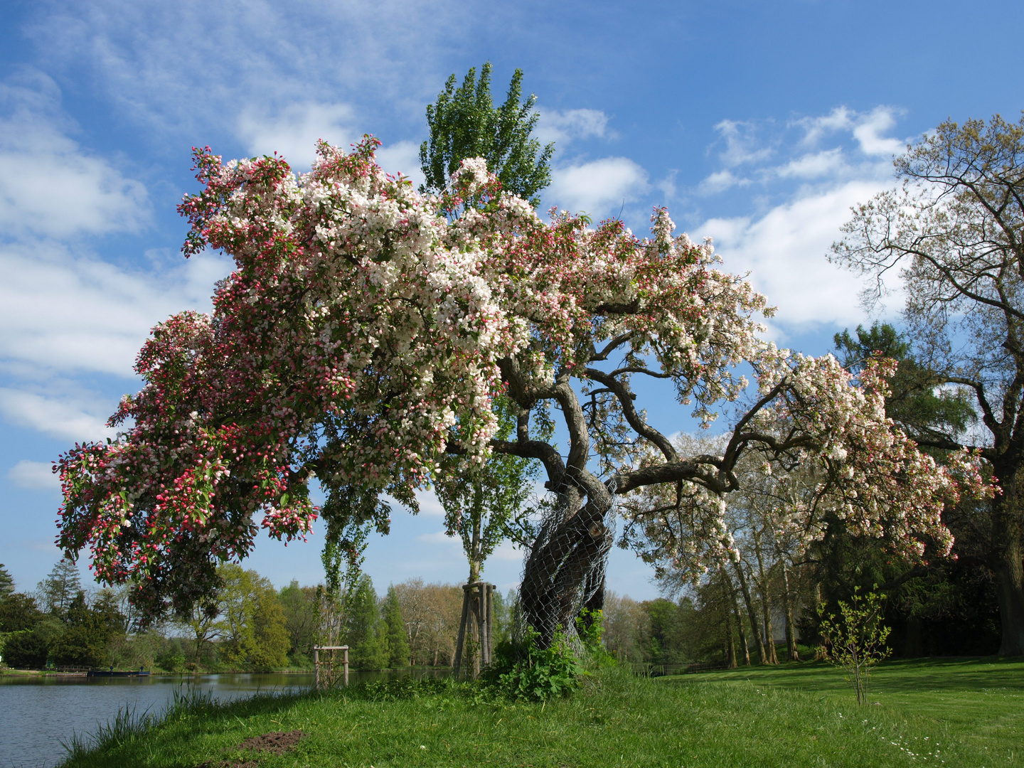 Frühlingserwachen