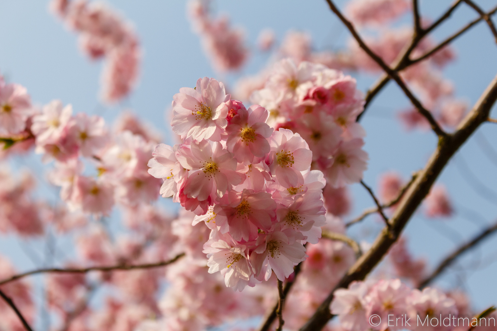 Frühlingserwachen