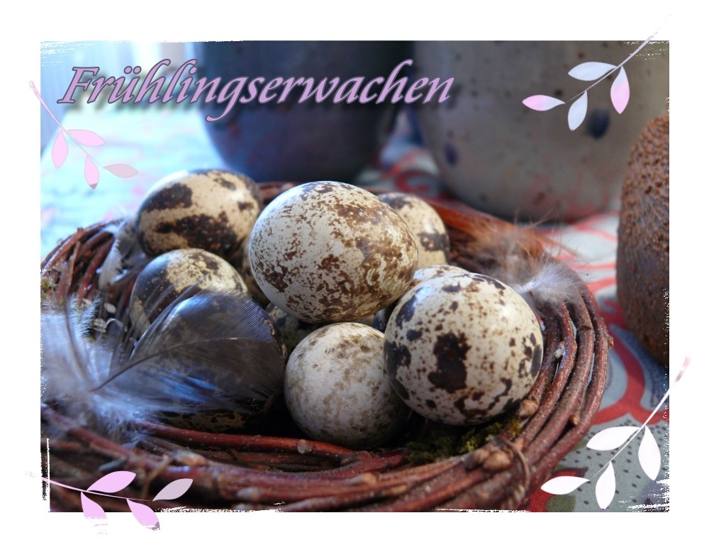 Frühlingserwachen