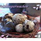 Frühlingserwachen