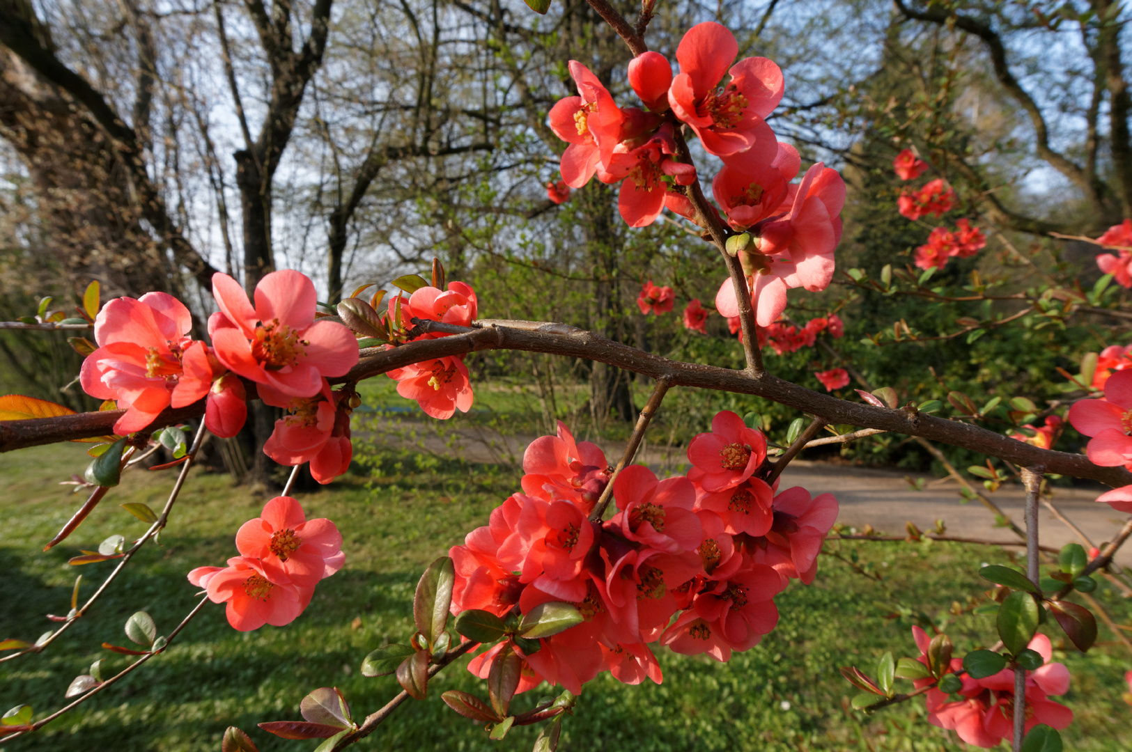 Frühlingserwachen