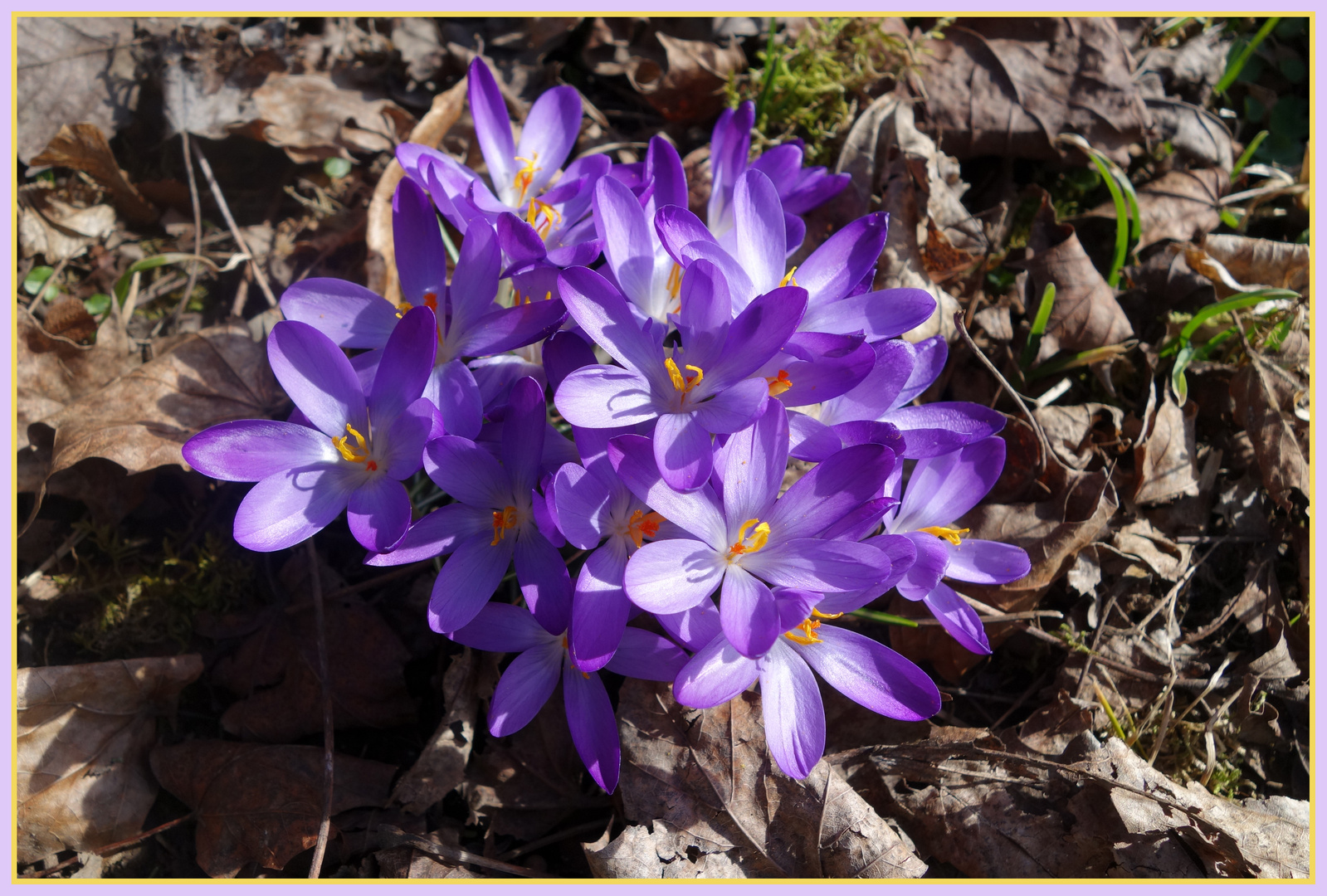 Frühlingserwachen