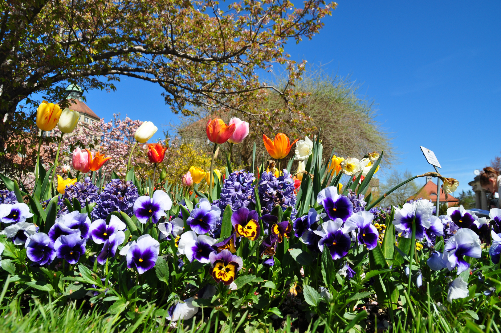 Frühlingserwachen