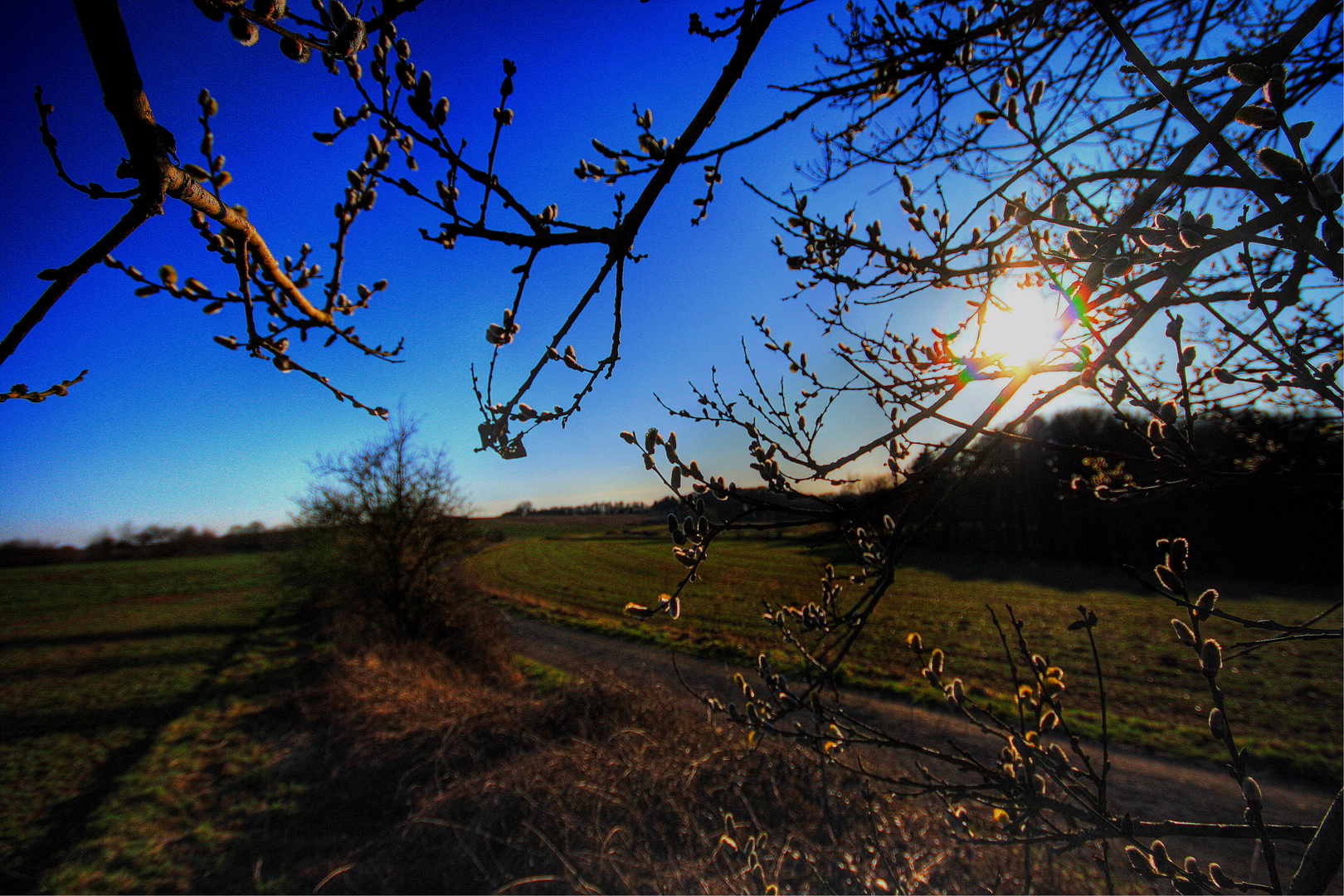 Frühlingserwachen