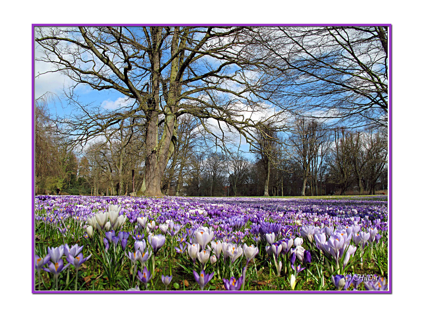 Frühlingserwachen